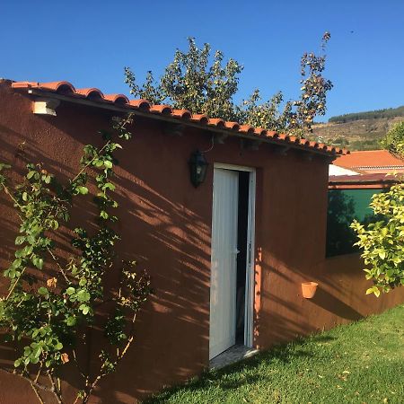Villa - Torres Vedras, Lisbon Country Side Almeirinhos de Baixo Ngoại thất bức ảnh