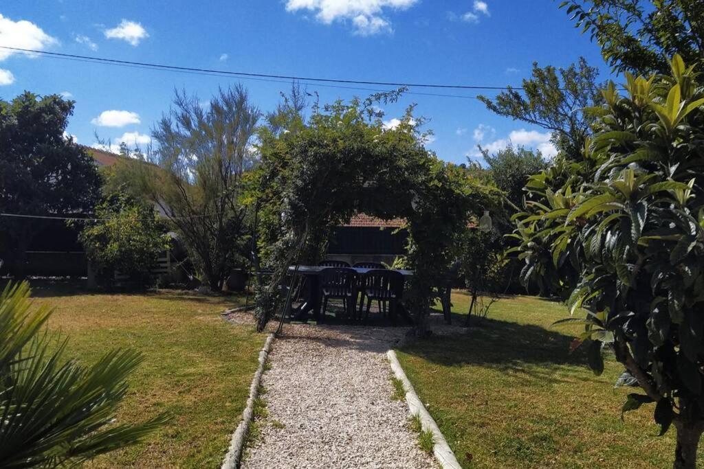 Villa - Torres Vedras, Lisbon Country Side Almeirinhos de Baixo Ngoại thất bức ảnh