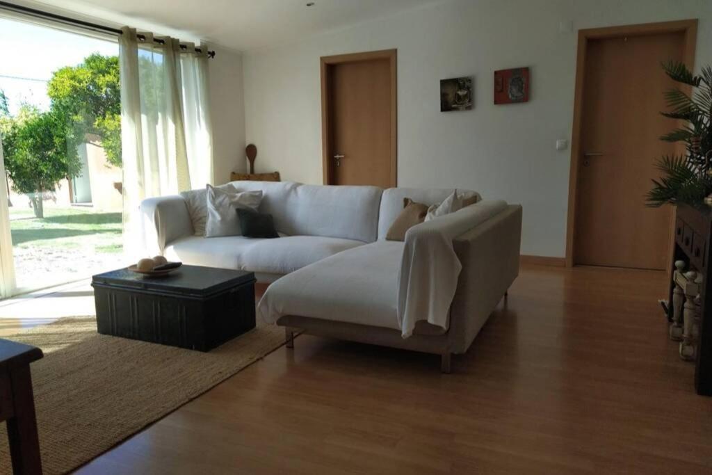 Villa - Torres Vedras, Lisbon Country Side Almeirinhos de Baixo Ngoại thất bức ảnh