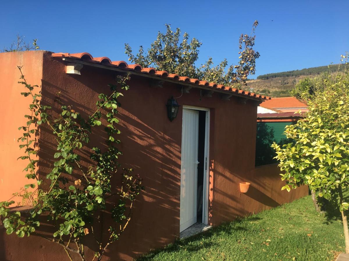Villa - Torres Vedras, Lisbon Country Side Almeirinhos de Baixo Ngoại thất bức ảnh